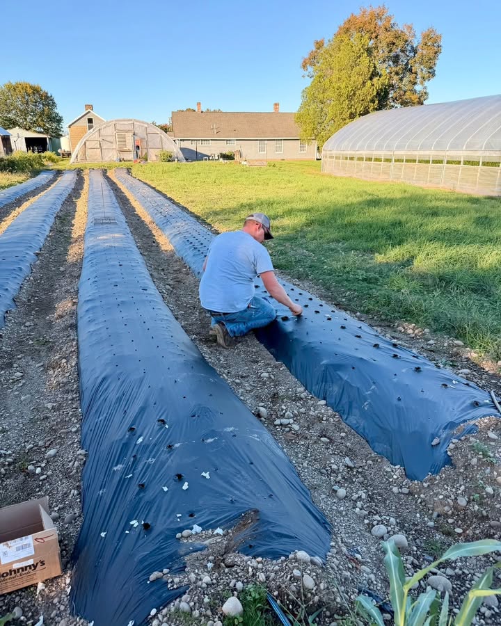 Stacy Family Farm